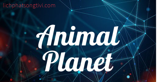 Logo Animal Planet