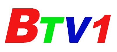 Logo BTV1