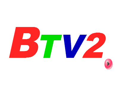 Logo BTV2