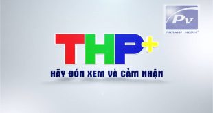 Logo THP+