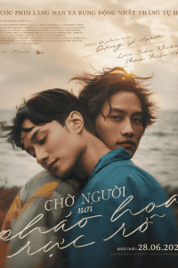 Chờ Người Nơi Pháo Hoa Rực Rỡ