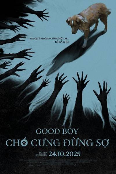 Good Boy: Chó Cưng Đừng Sợ