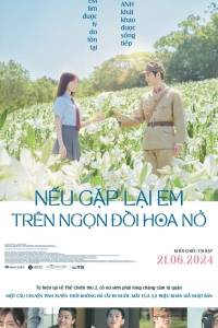 Nếu Gặp Lại Em Trên Ngọn Đồi Hoa Nở